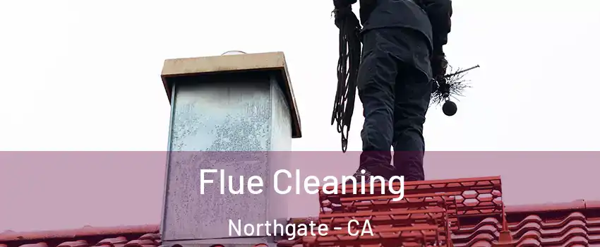 Flue Cleaning Northgate - CA