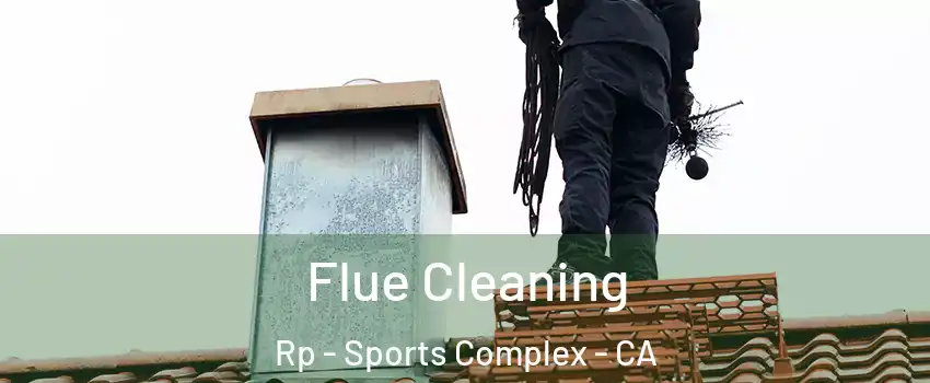 Flue Cleaning Rp - Sports Complex - CA