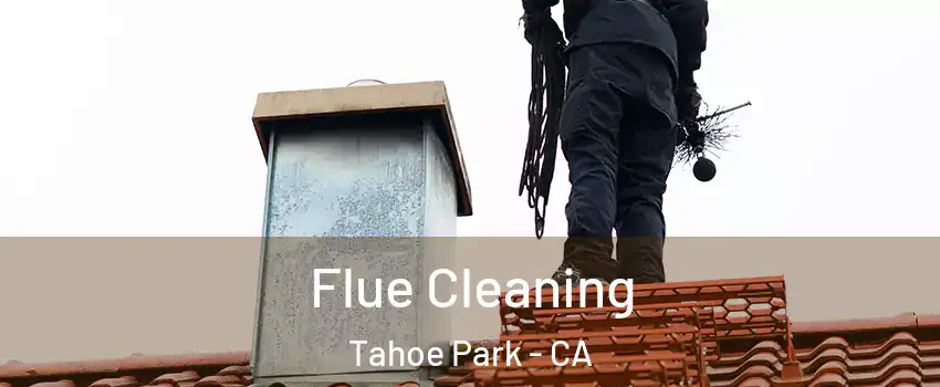 Flue Cleaning Tahoe Park - CA