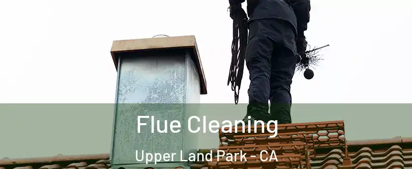 Flue Cleaning Upper Land Park - CA