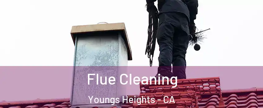 Flue Cleaning Youngs Heights - CA