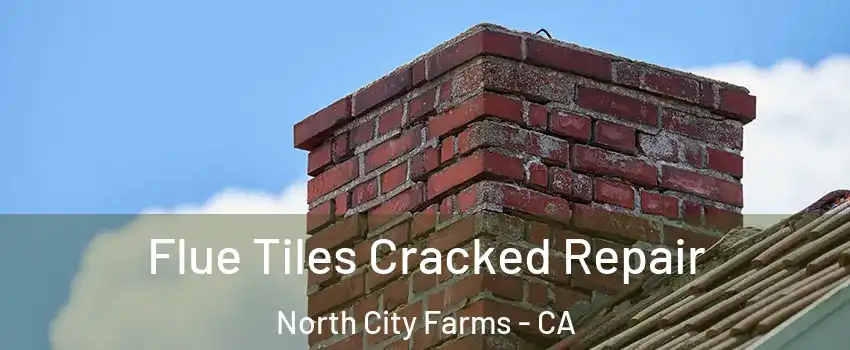 Flue Tiles Cracked Repair North City Farms - CA