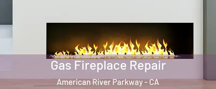 Gas Fireplace Repair American River Parkway - CA