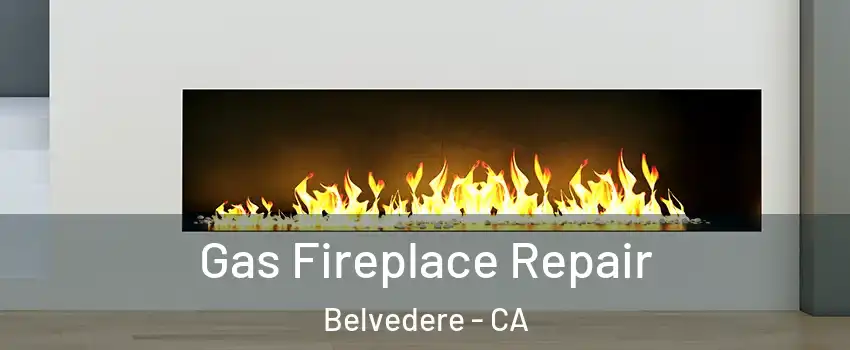 Gas Fireplace Repair Belvedere - CA