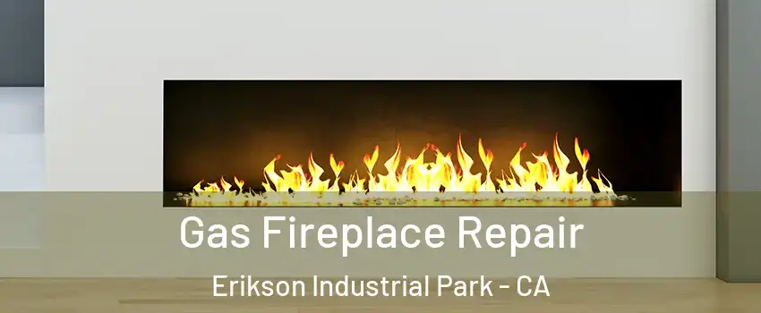 Gas Fireplace Repair Erikson Industrial Park - CA