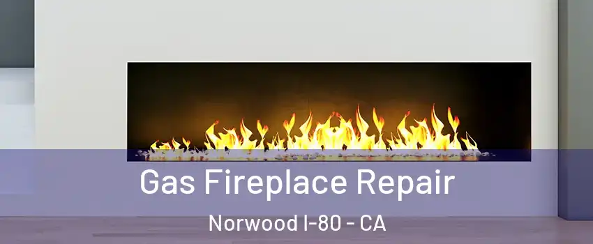 Gas Fireplace Repair Norwood I-80 - CA