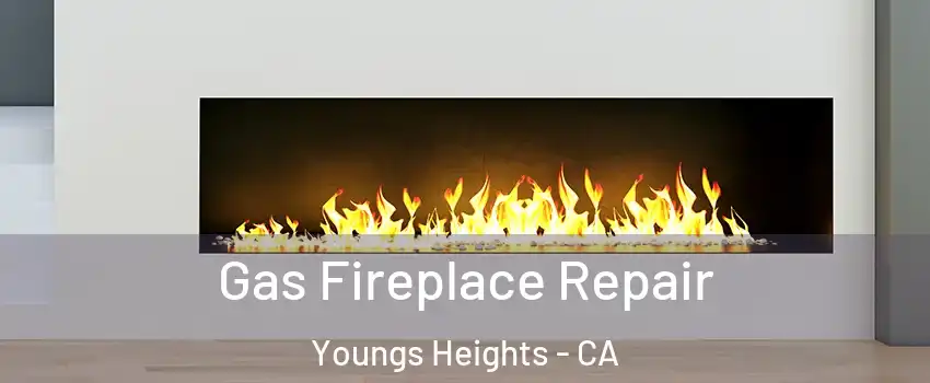 Gas Fireplace Repair Youngs Heights - CA