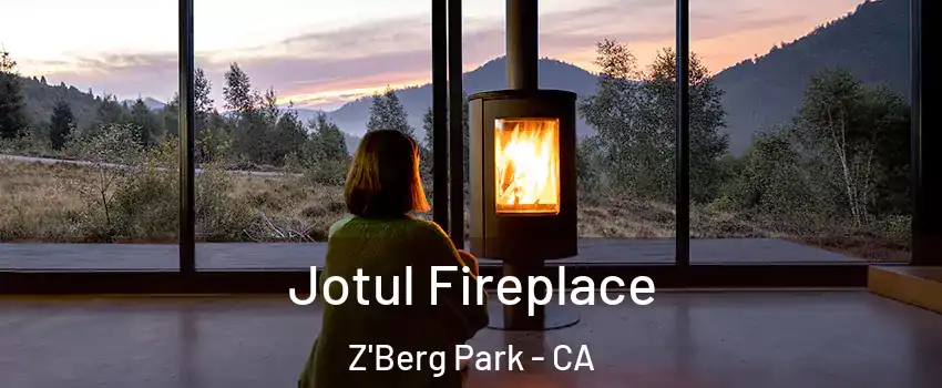 Jotul Fireplace Z'Berg Park - CA