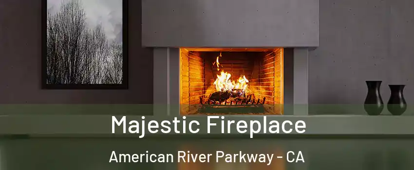 Majestic Fireplace American River Parkway - CA