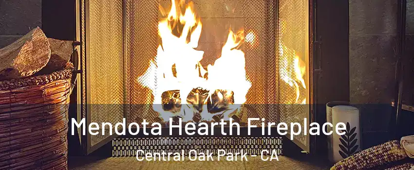 Mendota Hearth Fireplace Central Oak Park - CA