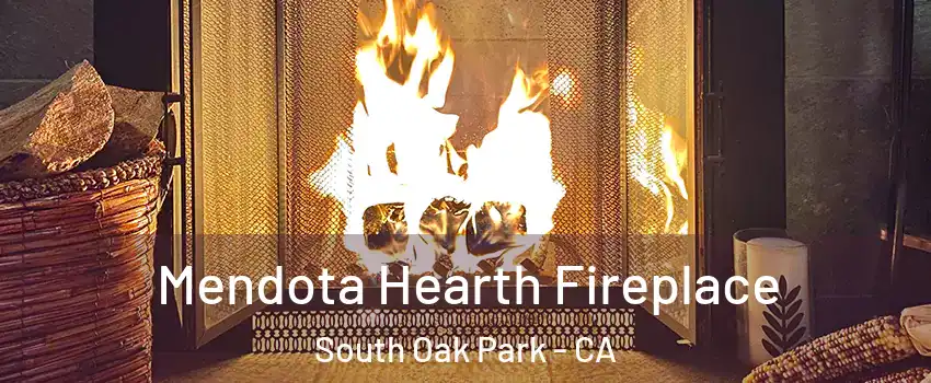 Mendota Hearth Fireplace South Oak Park - CA