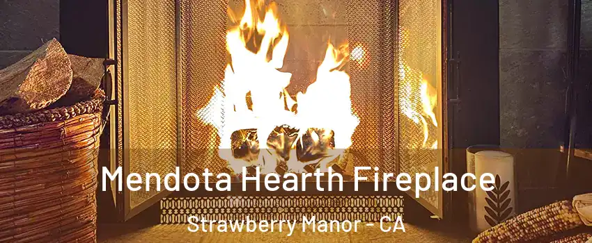 Mendota Hearth Fireplace Strawberry Manor - CA