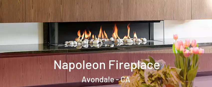 Napoleon Fireplace Avondale - CA