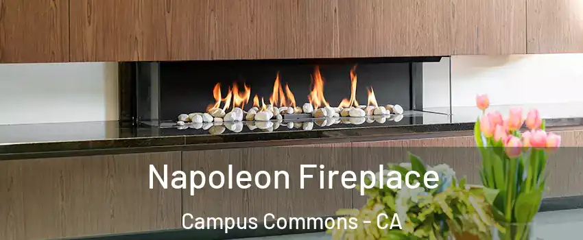 Napoleon Fireplace Campus Commons - CA