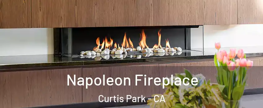 Napoleon Fireplace Curtis Park - CA