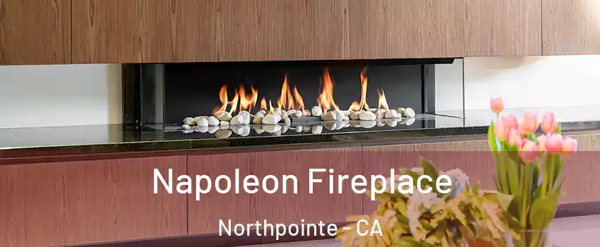 Napoleon Fireplace Northpointe - CA