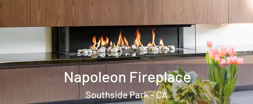 Napoleon Fireplace Southside Park - CA