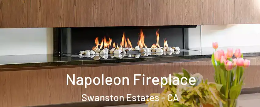 Napoleon Fireplace Swanston Estates - CA