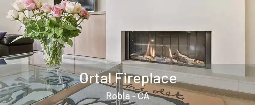 Ortal Fireplace Robla - CA