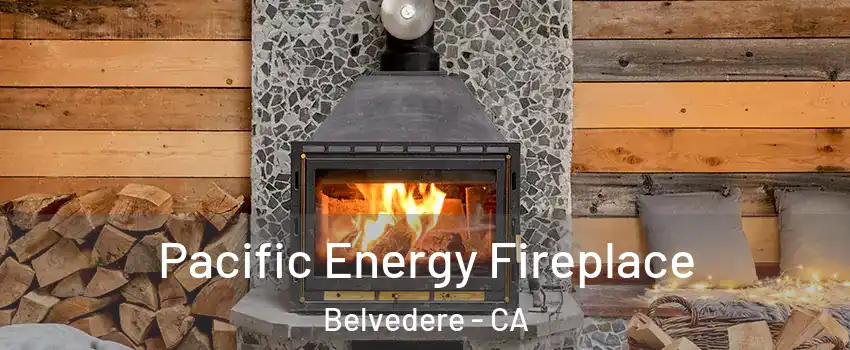 Pacific Energy Fireplace Belvedere - CA