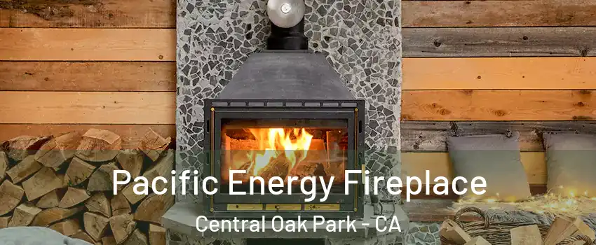 Pacific Energy Fireplace Central Oak Park - CA