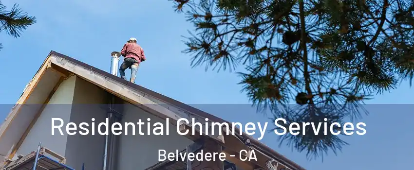 Residential Chimney Services Belvedere - CA