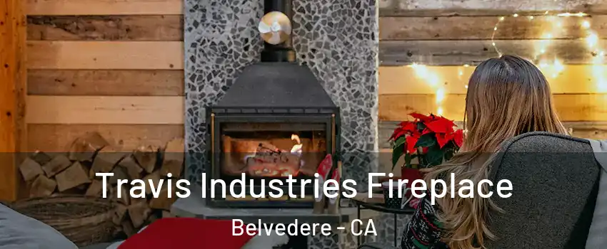 Travis Industries Fireplace Belvedere - CA