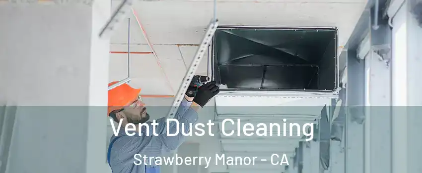 Vent Dust Cleaning Strawberry Manor - CA