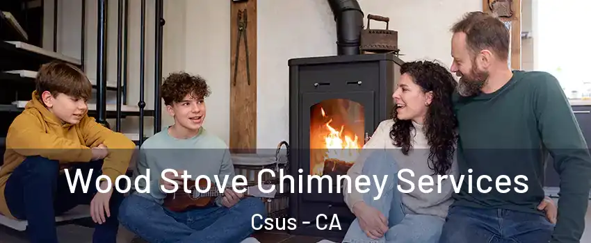 Wood Stove Chimney Services Csus - CA