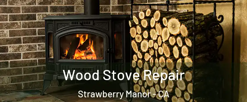 Wood Stove Repair Strawberry Manor - CA